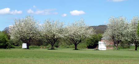 Whitchurch Hospital Playing Fields