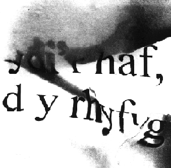  dydi'r haf  ex-Dafydd ap Gwilym - Peter Finch