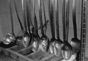 John Briggs - Hamadryan spoons